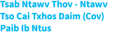 Tsab Ntawv Thov - Ntawv Tso Cai Txhos Daim (Cov) Paib Ib Ntus