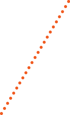 04-section-orange-dotted-line