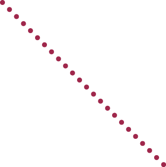 03-dotted-line-maroon