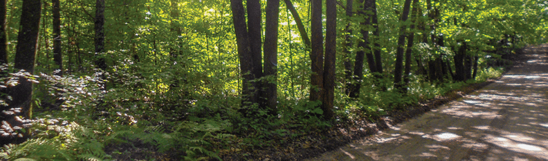 Rustic Road 41, Polk County