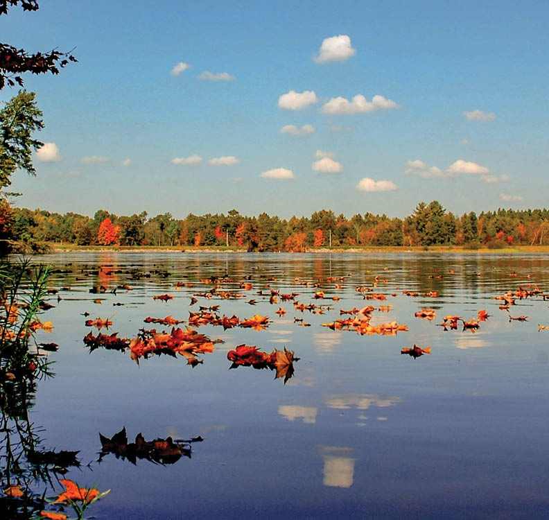 Along Rustic Road 45, Eau Claire County