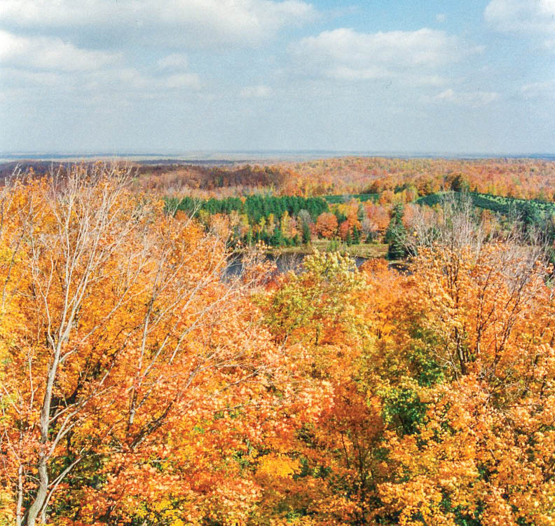 Along Rustic Road 62, Price County
