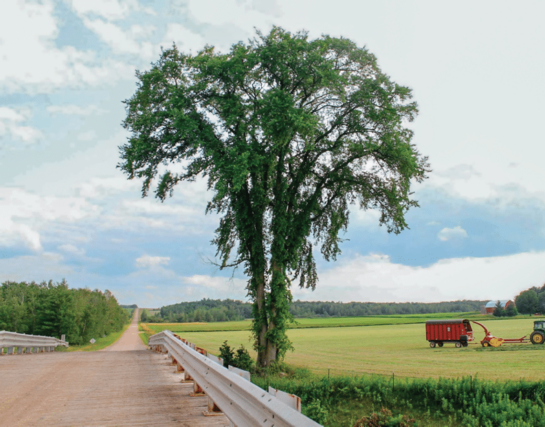 Rustic Road 73, Clark County