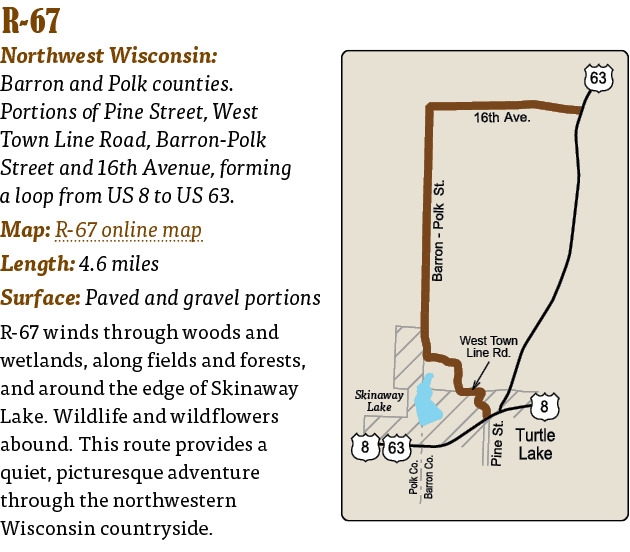   R-67  Northwest Wisconsin: Barron and Polk counties  Portions of Pine Street, West Town Line Road, Barron-Polk Stre   