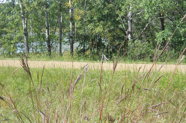 Rustic Road 79, Burnett County