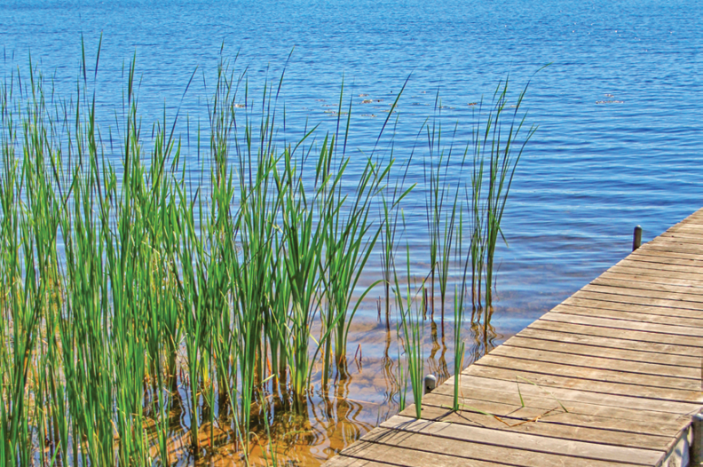 Along Rustic Road 80, Burnett County, Kerry G  Hill
