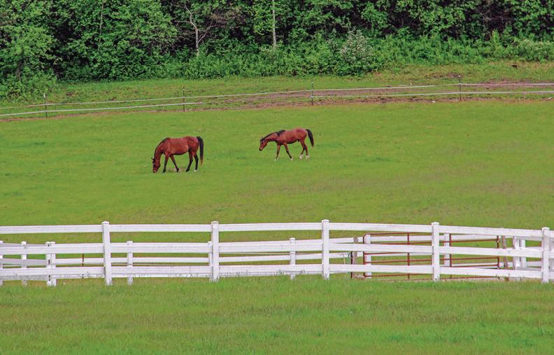 Along Rustic Road 92, Pierce County, Kerry G  Hill