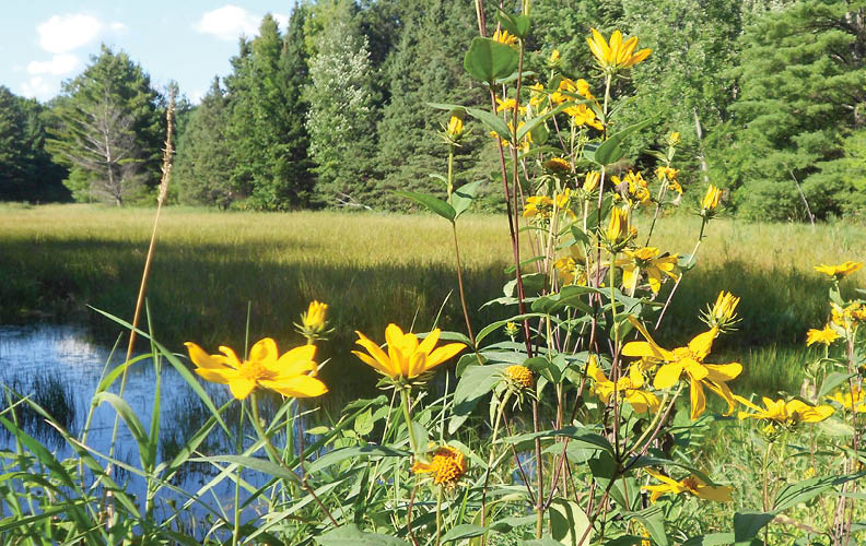 Along Rustic Road 93, Polk County