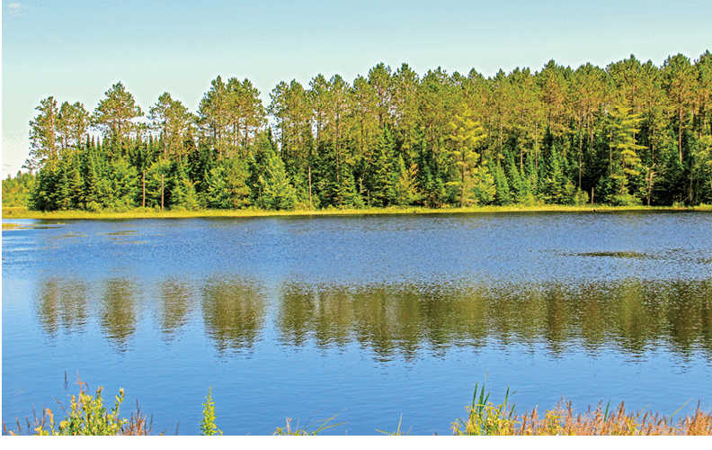 Along Rustic Road 95, Bayfield and Sawyer counties, Kerry G  Hill