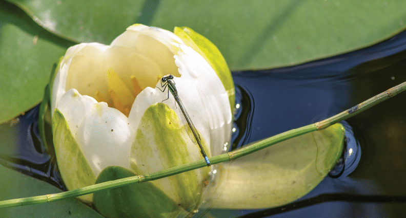 Along Rustic Road 100, Iron County