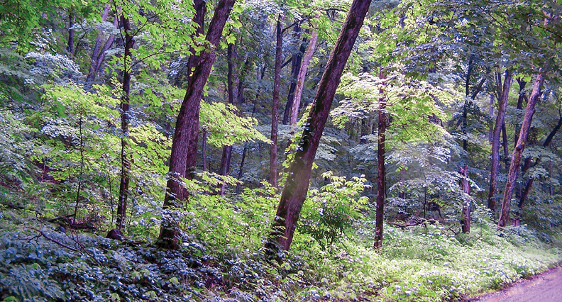 Rustic Road 103, St  Croix and Polk counties