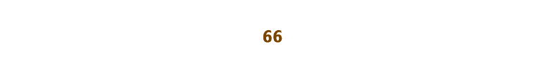 66