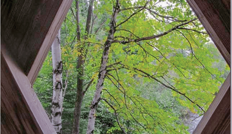 Along Rustic Road 105, Price County