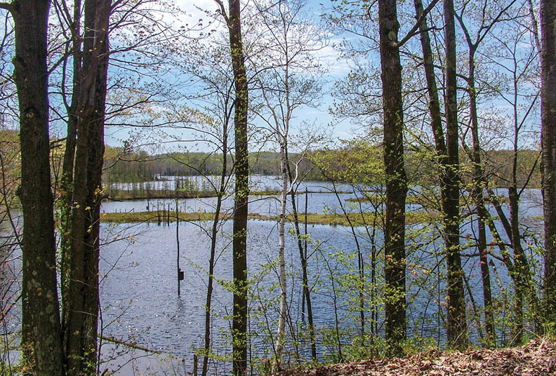 Along Rustic Road 114, Rusk County