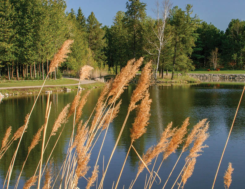 The zoo on Rustic Road 8, Brown County, WisDOT photo