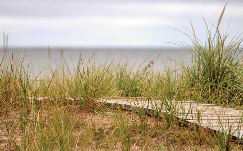 Along Rustic Road 39, Door County, Ann Junker