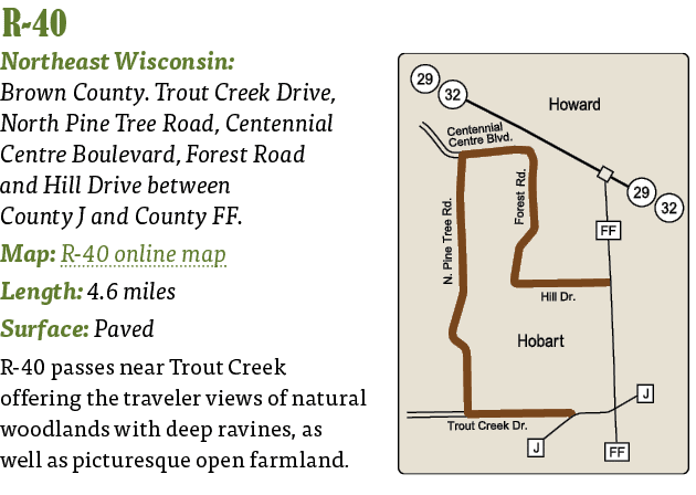   R-40  Northeast Wisconsin: Brown County  Trout Creek Drive, North Pine Tree Road, Centennial Centre Boulevard, Fore   