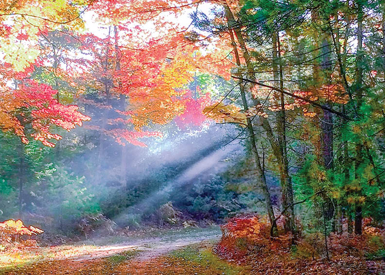 Rustic Road 60, Vilas County