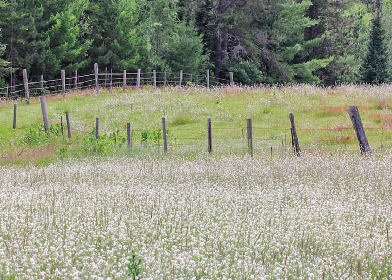 Along Rustic Road 58, Oneida County