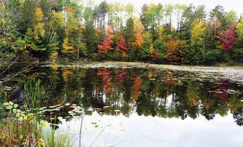 Along Rustic Road 113, Oconto County