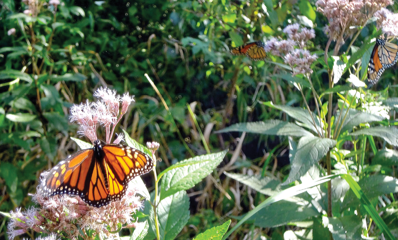 Along Rustic Road 109, Oconto County