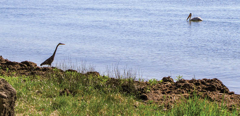 Along Rustic Road 119, Door County