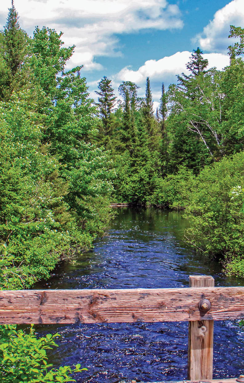 Along Rustic Road 34, Forest County, Kerry G  Hill
