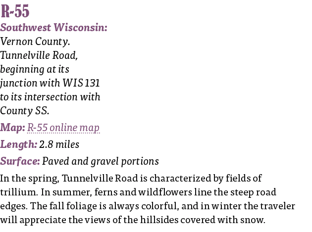   R-55 Southwest Wisconsin: Vernon County  Tunnelville Road, beginning at its junction with WIS 131 to its intersecti   