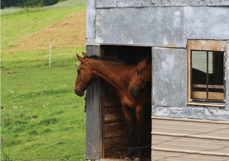 Along Rustic Road 56, Vernon County