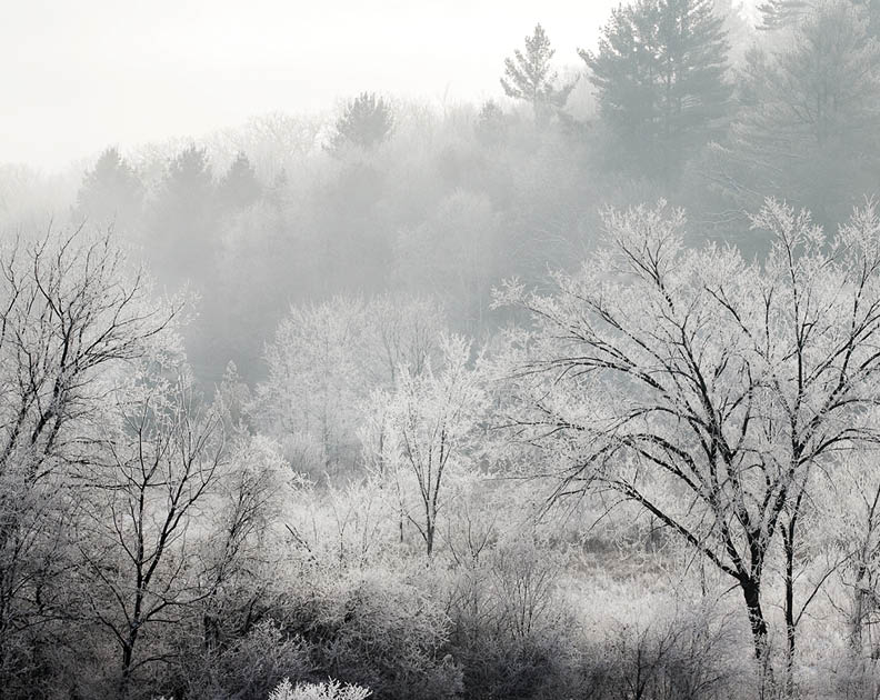 Along Rustic Road 75, Iowa County