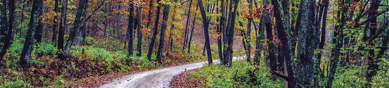 Rustic Road 91, Trempealeau County