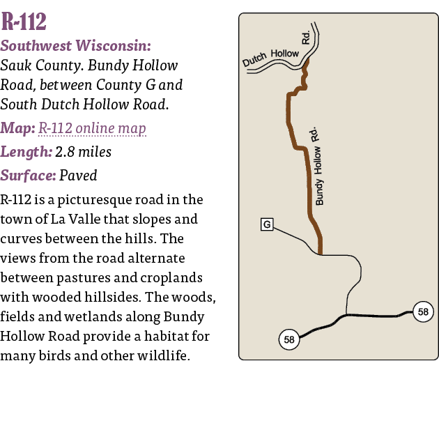   R-112  Southwest Wisconsin: Sauk County  Bundy Hollow Road, between County G and South Dutch Hollow Road  Map: R-11   