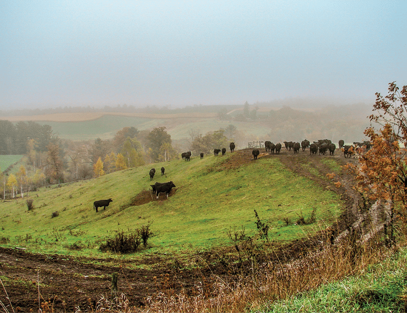 Rustic Road 121, Juneau County, Diane Dahl