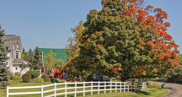 Rustic Road 11, Walworth County