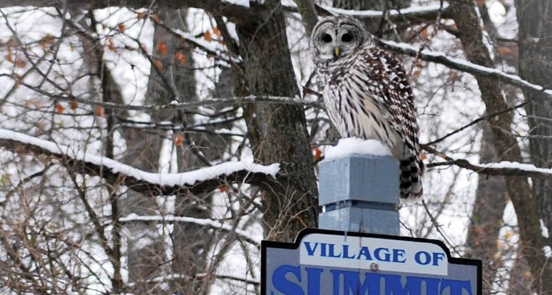Rustic Road 10, Waukesha County
