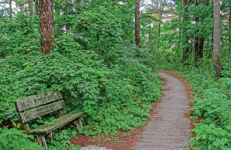 Along Rustic Road 16, Manitowoc County, Kerry G  Hill
