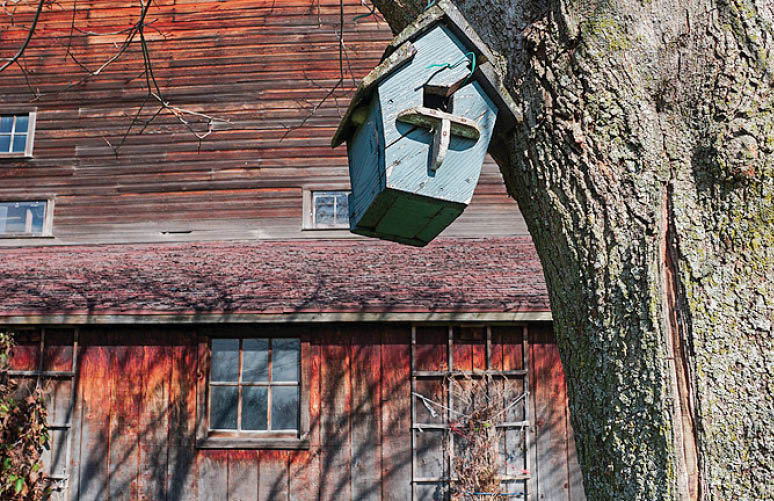 Along Rustic Road 12, Walworth County