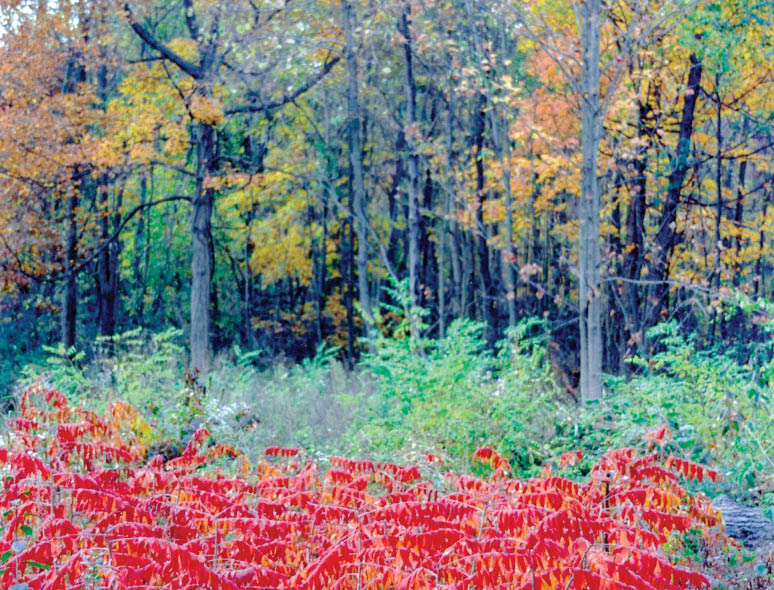 Along Rustic Road 25, Racine County
