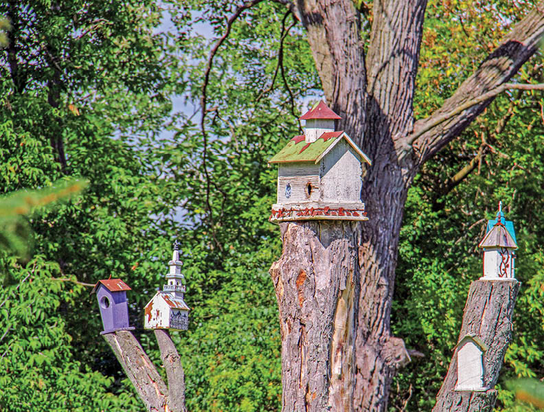 Along Rustic Road 42, Racine County, Kerry G  Hill