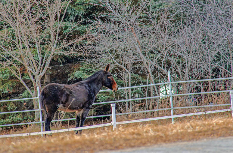 Along Rustic Road 72, Winnebago County, Kerry G  Hill