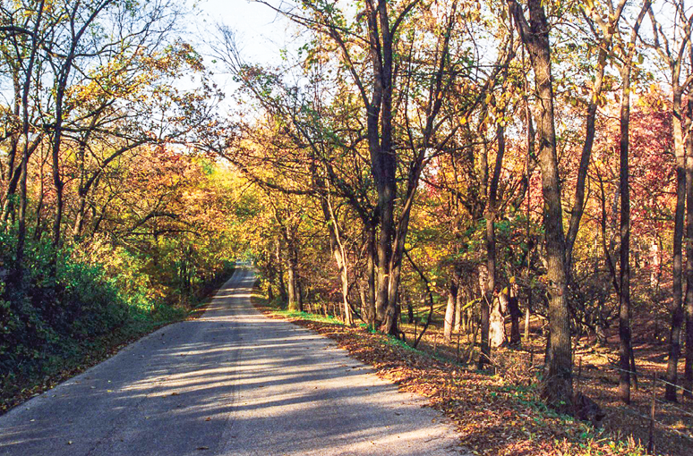 Rustic Road 81, Green County