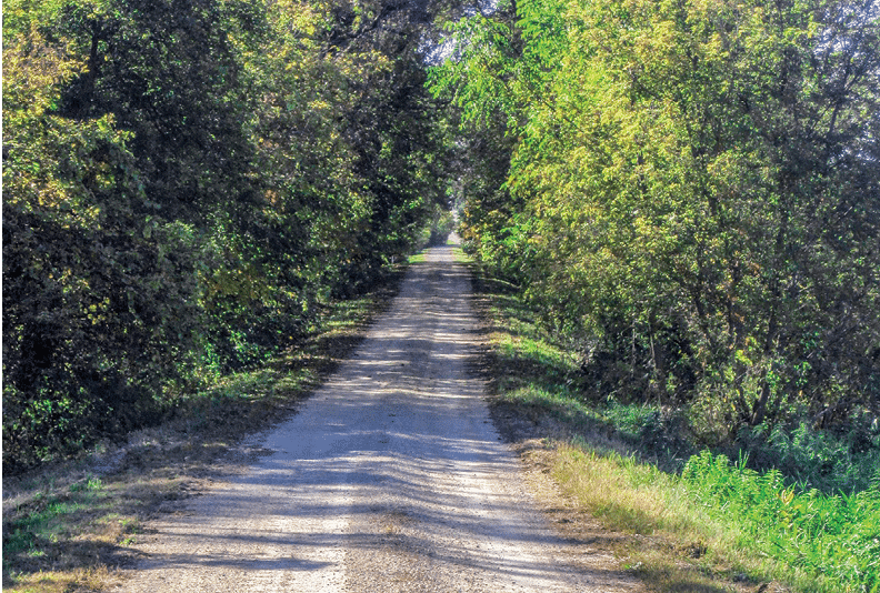 Rustic Road 90, Green County, Linda Lukas Wilms