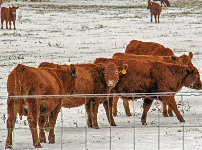 Along Rustic Road 96, Dane County, Kerry G  Hill