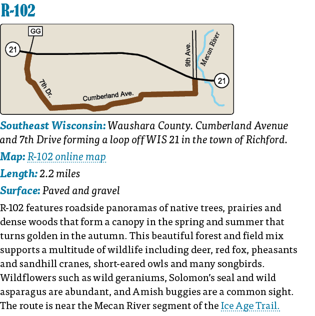   R-102  Southeast Wisconsin: Waushara County  Cumberland Avenue and 7th Drive forming a loop off WIS 21 in the town    