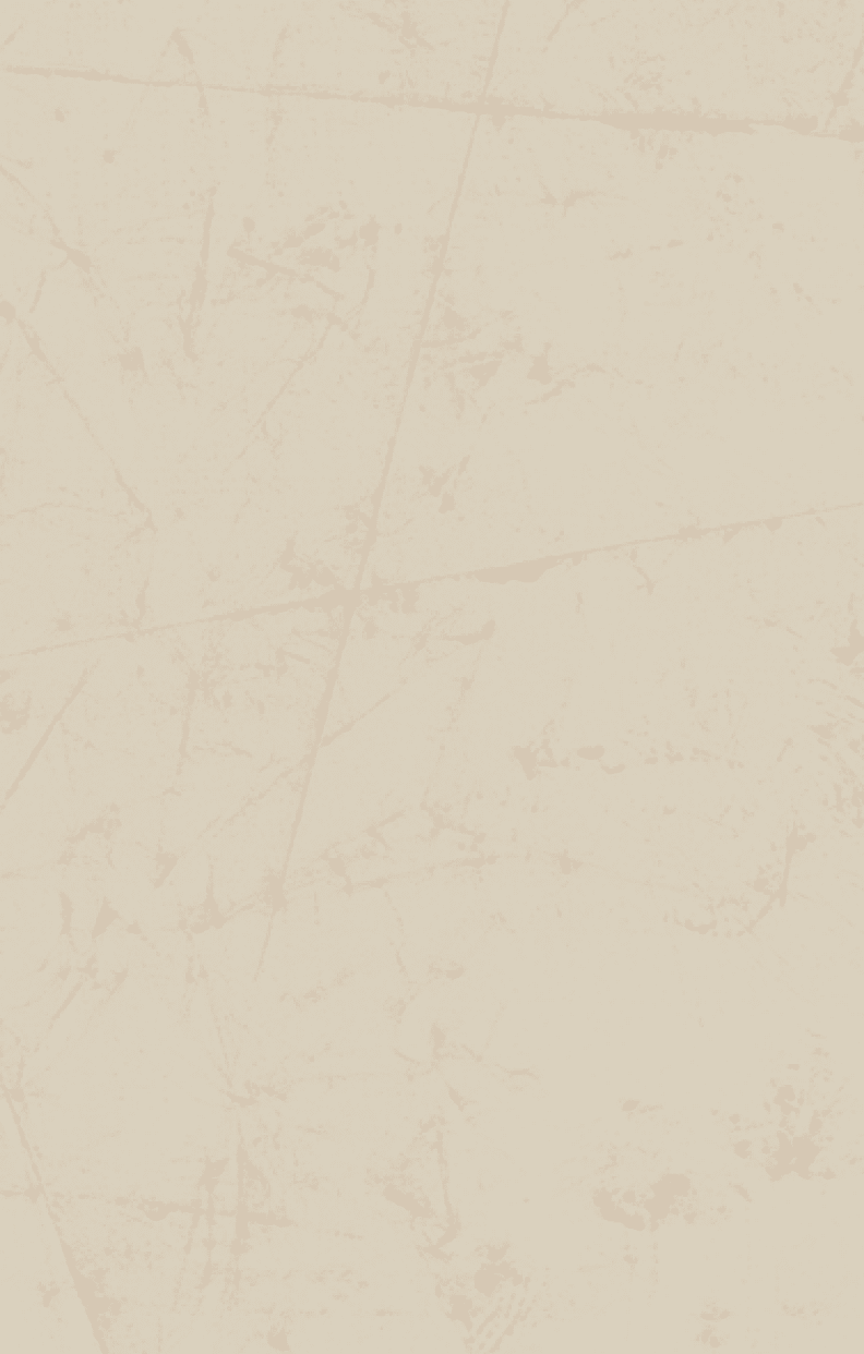 texture background of document