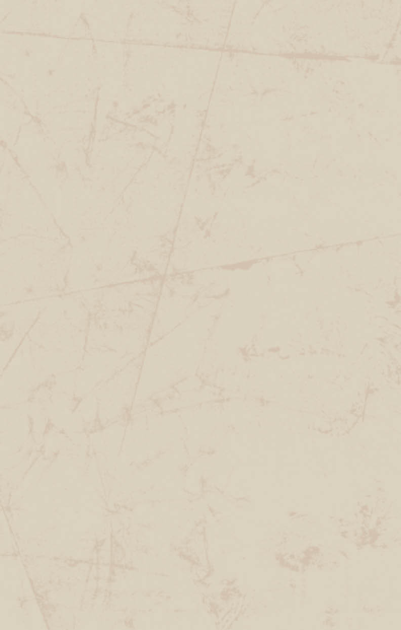 texture background of document