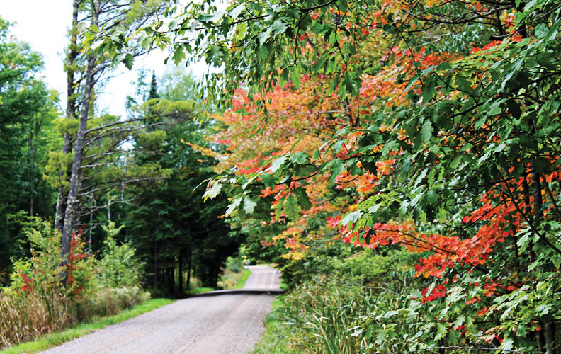 Rustic Road 1, Taylor County