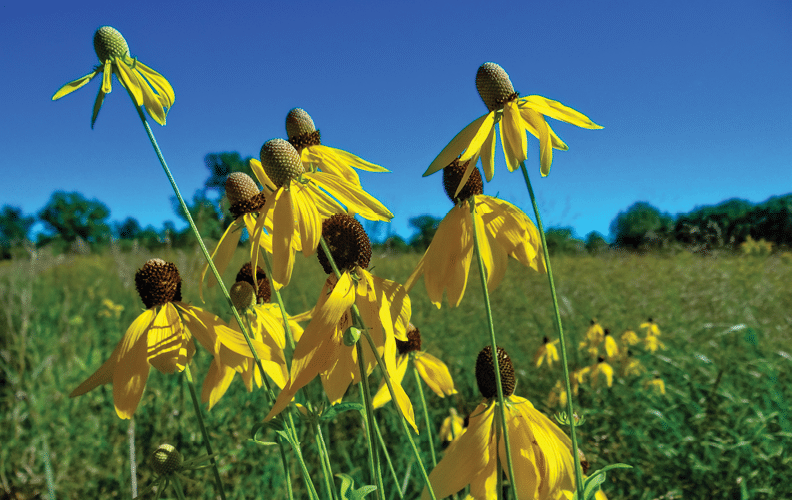 Along Rustic Road 4, St  Croix County