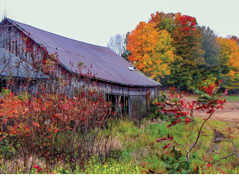 Along Rustic Road 6, Chippewa County