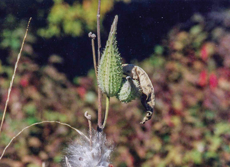 Along Rustic Road 15, Burnett County